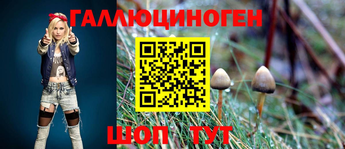 Бор  Псилоцибиновые грибы прущие грибы  Псилоцибиновые грибы Cubensis  Вход с VPN 